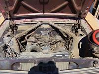  Here's a picture of my engine bay, where is yours?-engine-bay.jpg