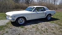 1968 Wimbleton White Mustang-12920422_10204529055065491_621673484810437391_n.jpg