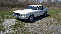 1968 Wimbleton White Mustang-1937089_10204529054825485_2372277618980343345_n.jpg