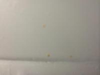 Discoloration and bubbles in primer-rust-003.jpg