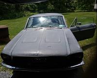 1967 Mustang Fastback, good deal?-photo444.jpg