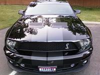 Calling 2013-14 GTs with stripes-snake.jpg