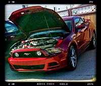 Just take delivery on your 05-14 GT? Brag here!-mustang2.jpg