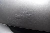 2010 Mustang Hood Corrosion!-dscf0896.jpg