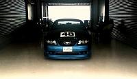 Lets see some blue Stangs!!!!-dsc00008nive11111.jpg