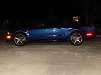 Gave her a wash=Pics-picture-004.jpg