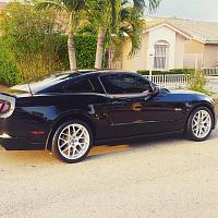 recently purchased 5.0-mustang-edited-pic.jpg