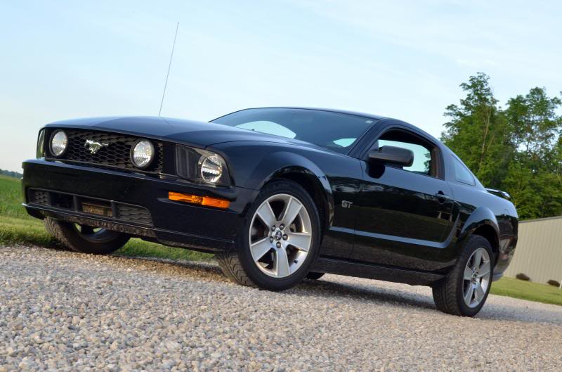 Name:  mustang1_zpsc4dce690.jpg
Views: 62
Size:  64.1 KB