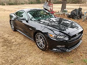 Texas Black 2015 Mustang GT-theblackgt.jpg