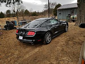 Texas Black 2015 Mustang GT-theblackgtbehind.jpg