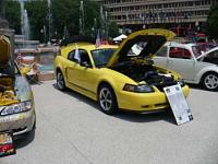 Mustang Pictures-picture-092.jpg
