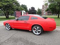 What is the greatest special edition Mustang of all time?-dsc04918.jpg