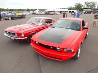 What is the greatest special edition Mustang of all time?-dsc04944.jpg