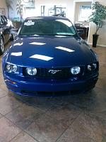 Purchased 2007 Mustant GT with low mileage-mustang-resized.jpg