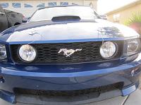 Potential Mustang Buy-img_2086.jpg