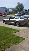 2005 Mustang GT Premium-10155269_445071285627274_5564346810897172212_n.jpg