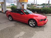 New to Me 2006 GT Convertible-image.jpg