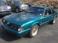 Greetings from Connecticut-mustang-d-side-view.jpg