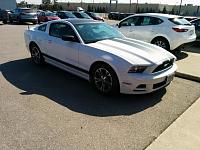 New Canadian Mustang owner-11069618_10153255644368164_3887299558423828841_n.jpg