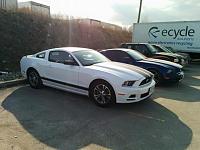 New Canadian Mustang owner-11188203_10153255644453164_711585319916547662_n.jpg