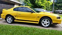My return to the Mustang life...-bumble-bee-gt.jpg
