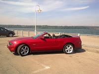 New Mustang Owner from Michigan-img-20150924-00229.jpg