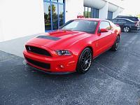 New Member with a 2012 Shelby GT500-gt-500.jpg