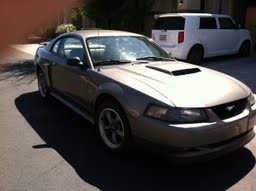 Name:  Mustang1.jpg
Views: 15
Size:  9.1 KB