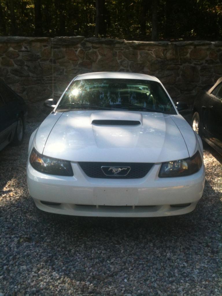 Name:  Mustang1.jpg
Views: 67
Size:  87.9 KB