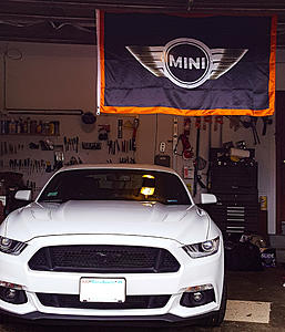 New to this forum.-2017-mustang-20171107_edited.jpg