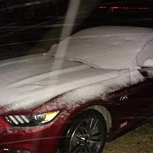 FINALLY A MUSTANG GT OWNER!!-img_20171208_103452_513.jpg