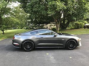 new mustang owner-img_0558.jpg