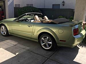 New member, second Mustang-06-mustang-green-2-.jpg