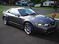  Best Wax For A Black 2004 Mustang-dsc03786.jpg