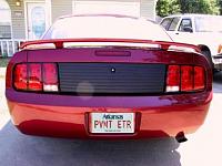 personalized plate came in today-pvmtetr.jpg