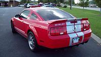 made the jump from GT to Shelby!-shelby-3.jpg