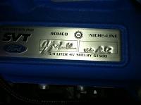Niche-Line Techs...who built your Shelby engine?-img_0362.jpg