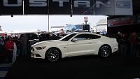 What Stripe Layout for the new Model 2015 Mustang???? -------------------------mustang-50th-anniversary-112.jpg