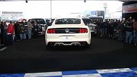 Couple of pics of 50th at Charlotte-mustang-50th-anniversary-114.jpg