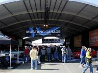 Couple of pics of 50th at Charlotte-mustang-50th-anniversary-054.jpg