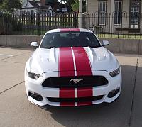 With Stripes or Without Stripes-2015-gt-bh-1.jpg