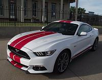 With Stripes or Without Stripes-2015-gt-bh-2.jpg