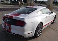 With Stripes or Without Stripes-2015-gt-bh-10.jpg