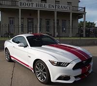 With Stripes or Without Stripes-2015-gt-bh-11.jpg