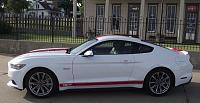 With Stripes or Without Stripes-2015-gt-bh-7.jpg
