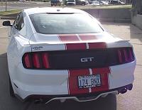 With Stripes or Without Stripes-2015-gt-bh-9.jpg