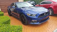 got me the last 2015 at the dealer-5.0-front-picture.jpg