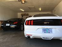 ENTER FOR A CHANCE TO WIN A FREE MUSTANG AIR INTAKE FROM INJEN-image.jpeg