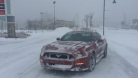 Why do Mustangs have the reputation of being bad in the snow? S550 yet to get stuck.-img_2537.png