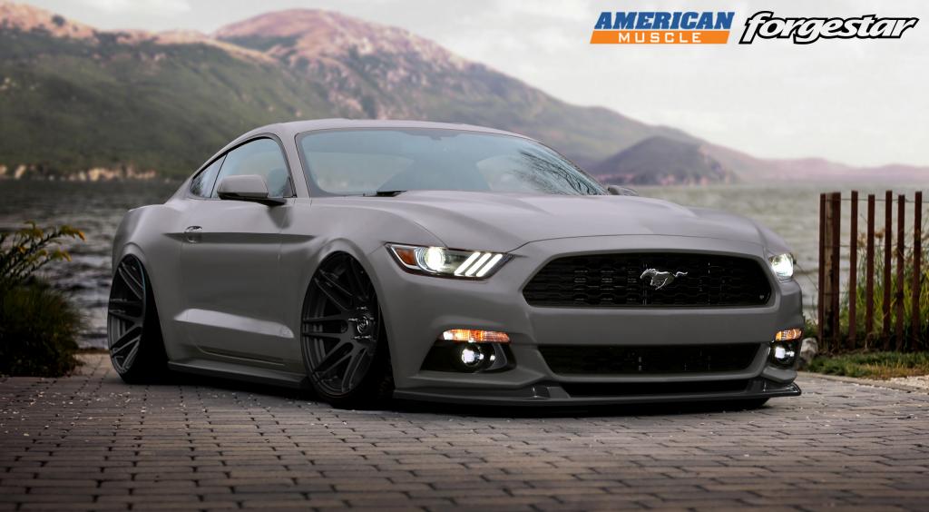 Name:  forgestar-2015-ford-mustang-americanmuscle_zpse2a22cf5.jpg
Views: 26
Size:  69.6 KB